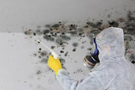 Best Industrial Mold Remediation  in Alexandria, LA